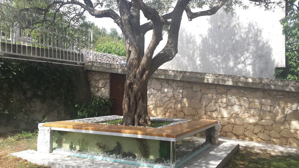 Apartment Golubica 2 Marina Rom bilde